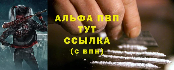 ГАЛЛЮЦИНОГЕННЫЕ ГРИБЫ Семёнов