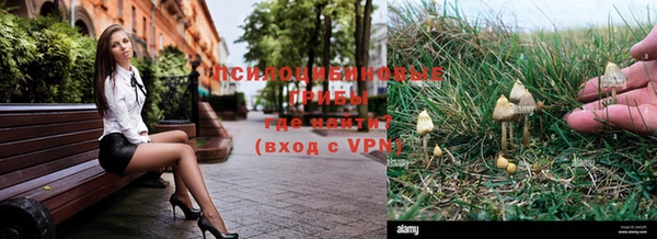 прущие крисы Алексин