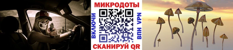 Псилоцибиновые грибы MAGIC MUSHROOMS  ссылка на мегу онион  Миньяр 